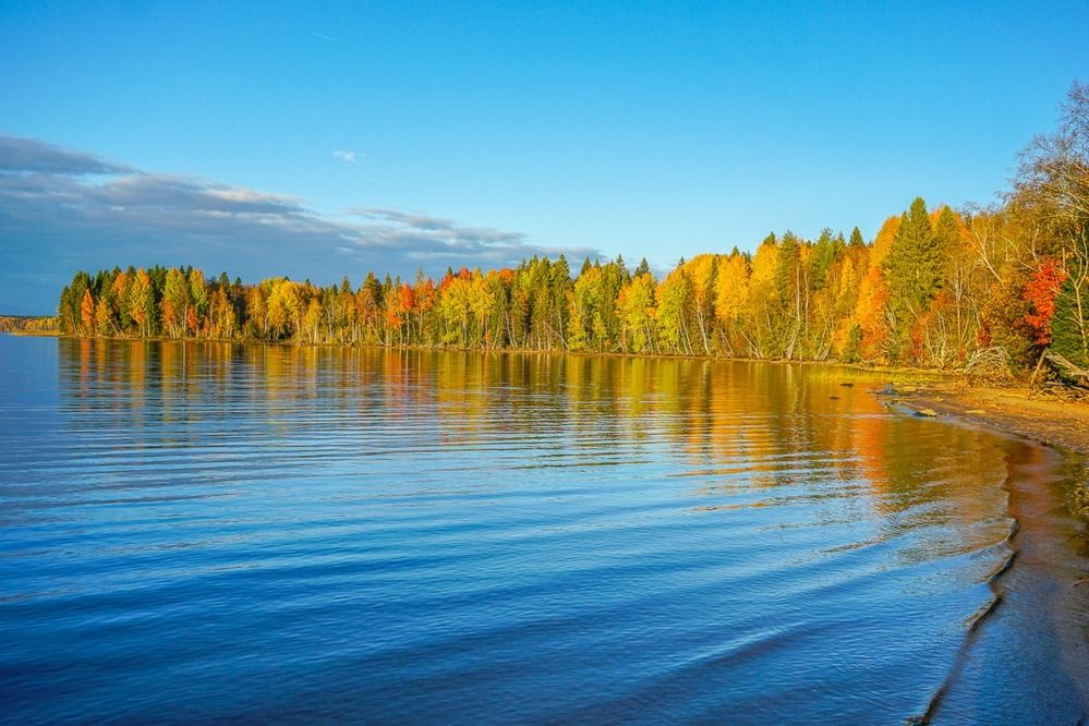 Золотая осень.