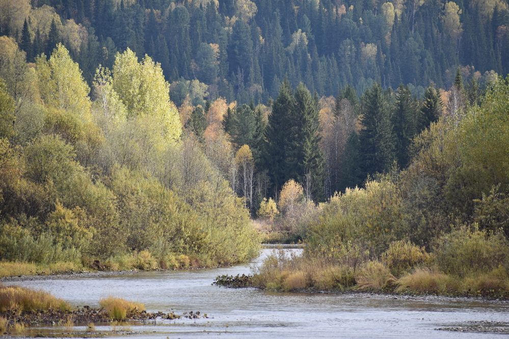 Photograph by Александр Прядко