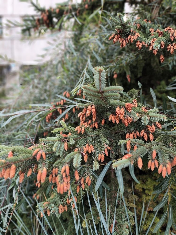 Photograph by Татьяна Пьянзина