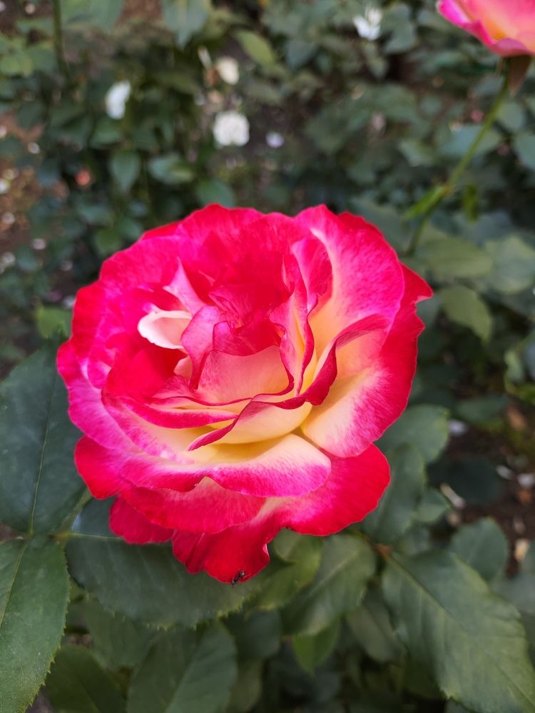 Photograph by Татьяна Пьянзина