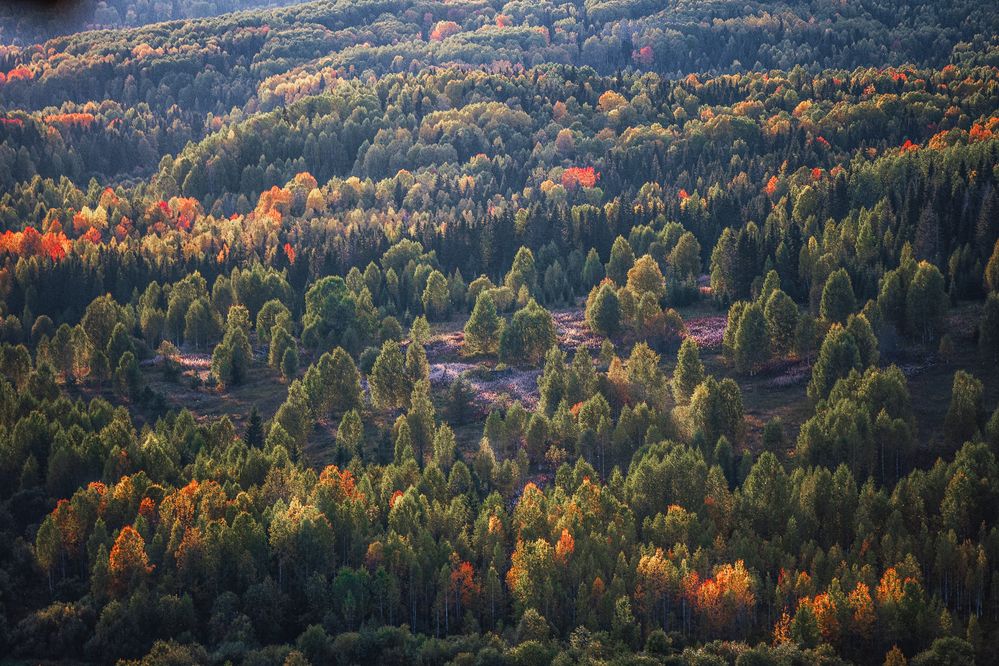 Photograph by Елена Титенская