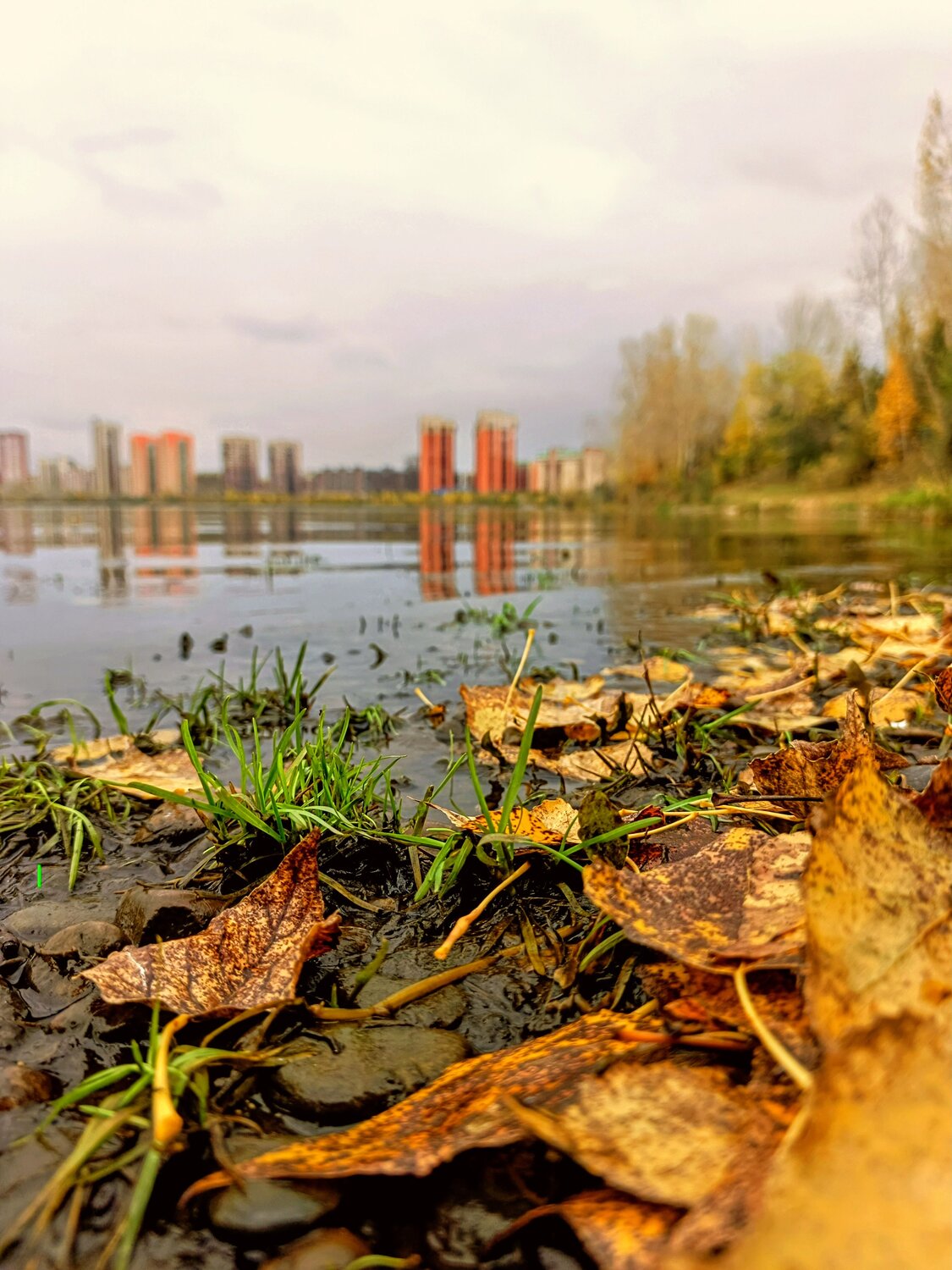 Photo #12640810