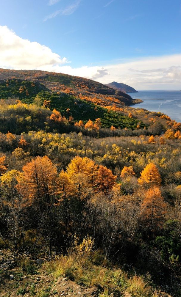 Photograph by Лариса Ким