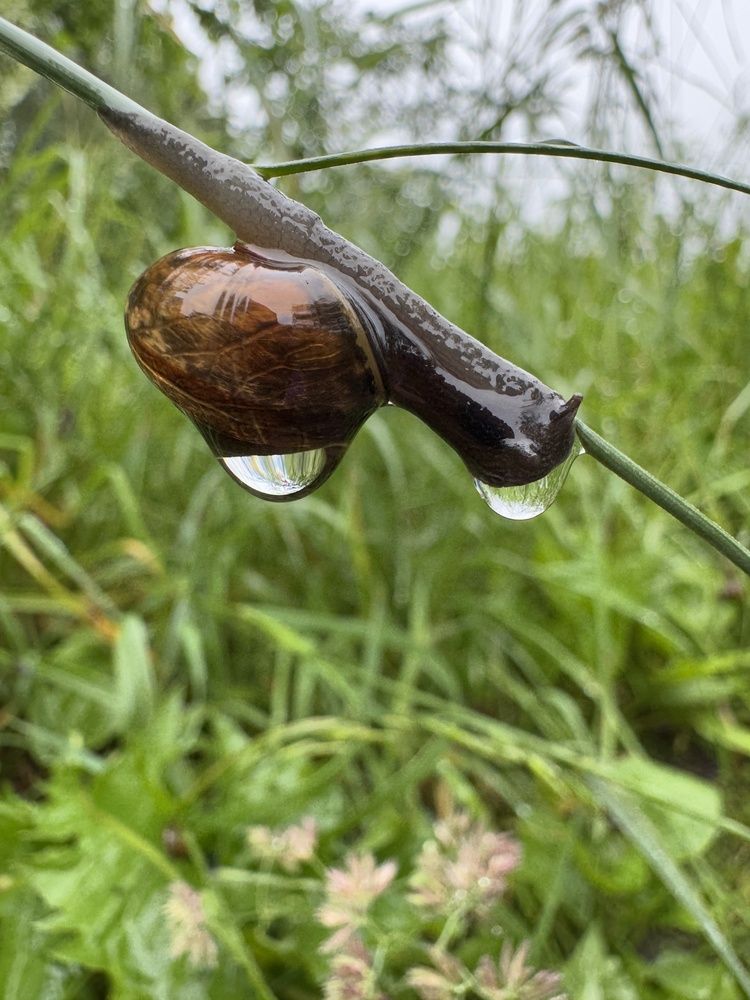 Photograph by Анастасия Самойленко