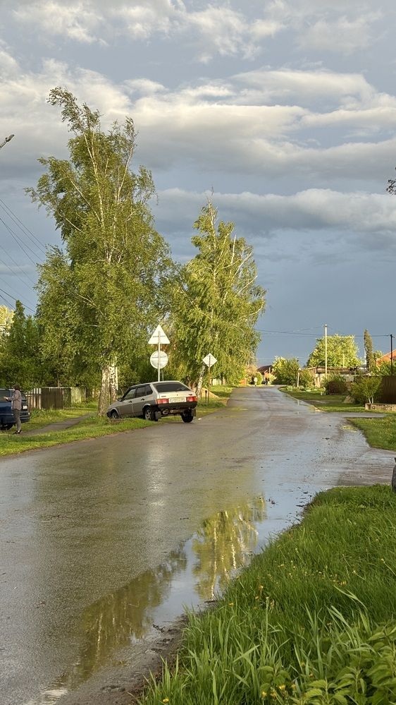 Photograph by Елена Гущина