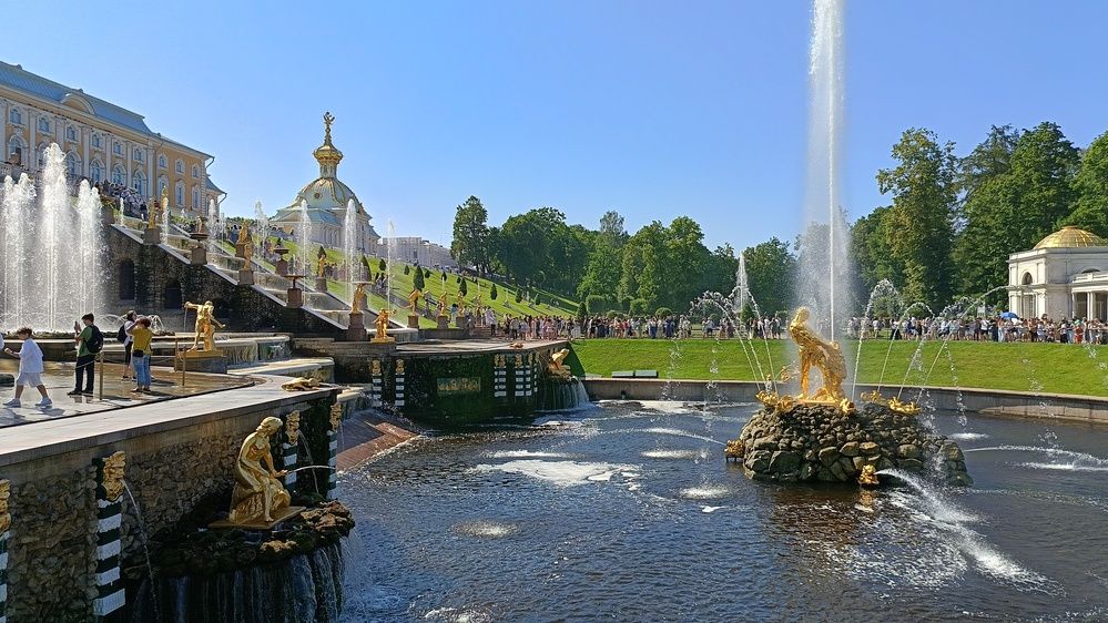 Photo #12640924