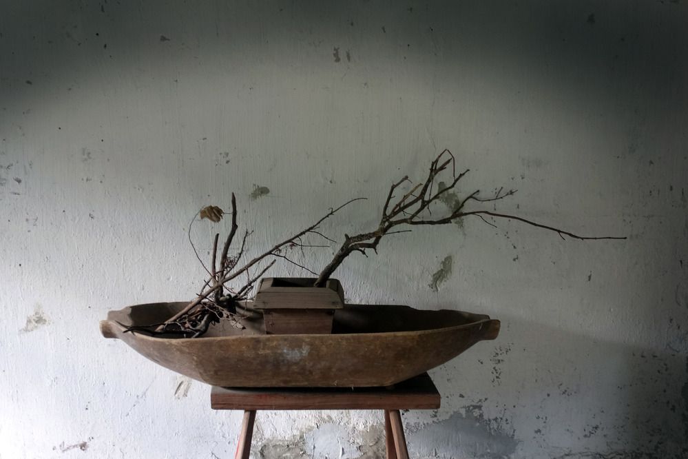 Photograph by Марина