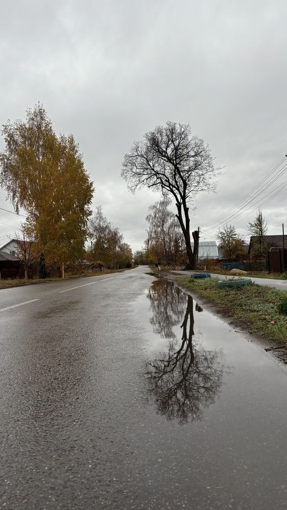 Photograph by Елена Гущина