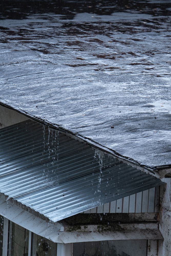 Photograph by Ксения Шилина