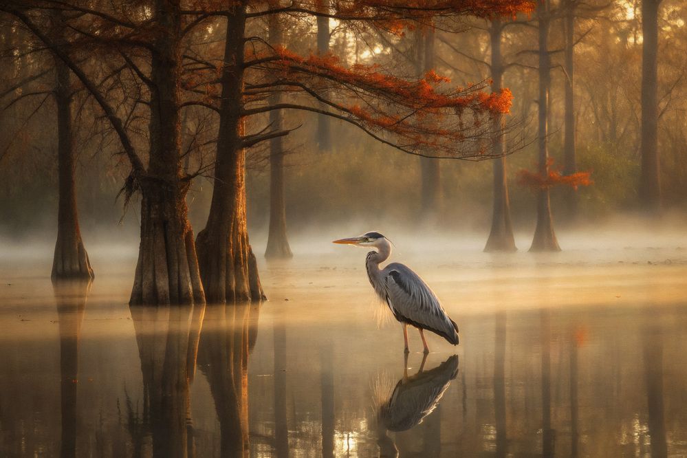 Фотография автора Андрей Рябинин