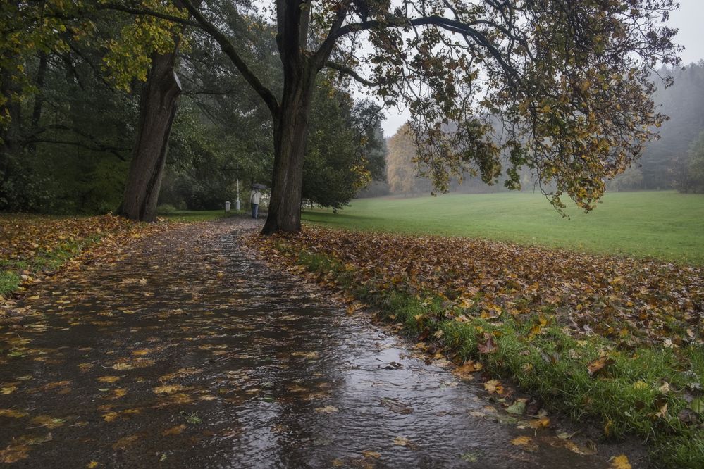 Photograph by Солодар Виктория