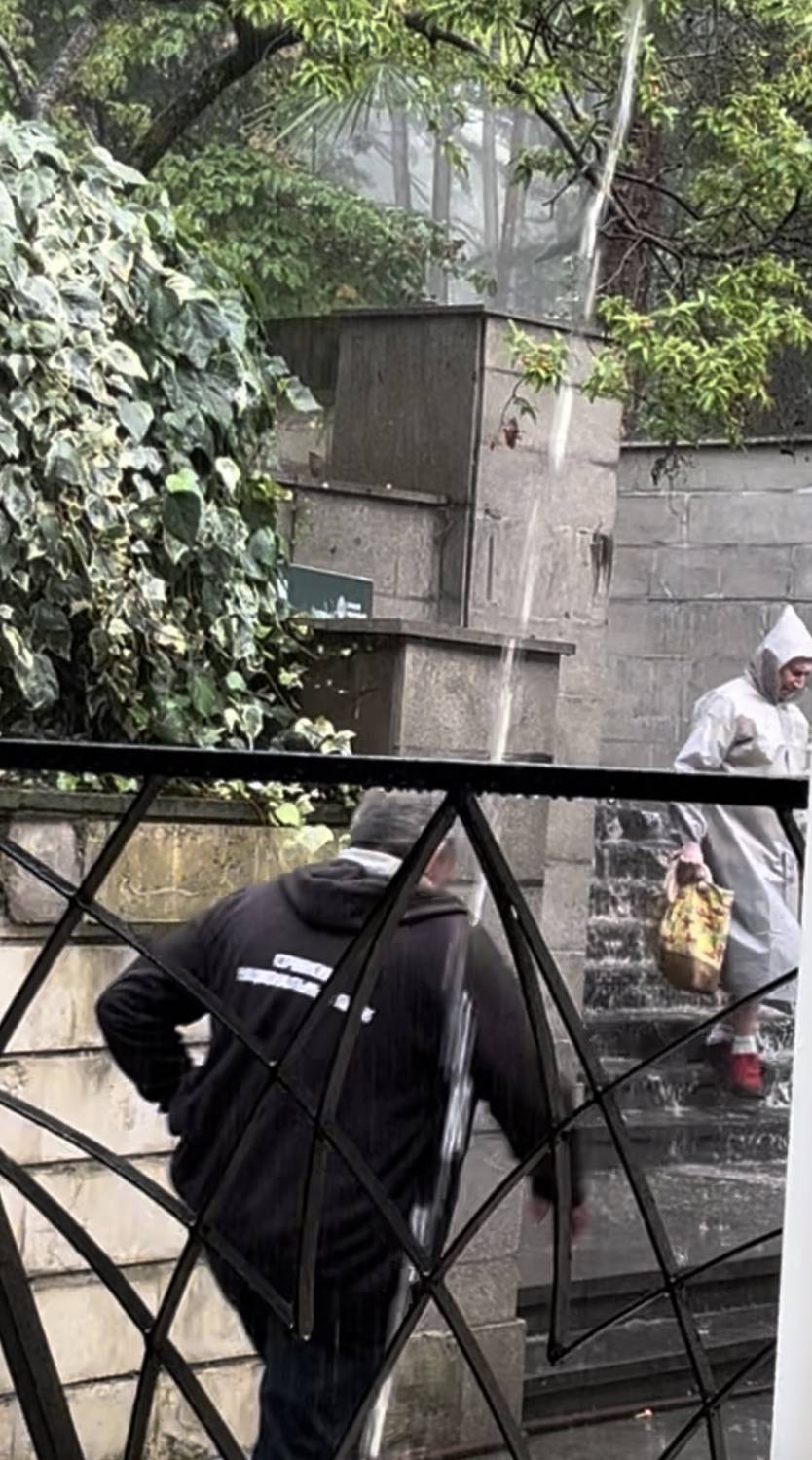 Photo #12641133