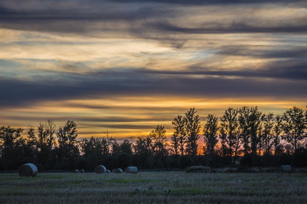 Photograph by Оксана Серёгина