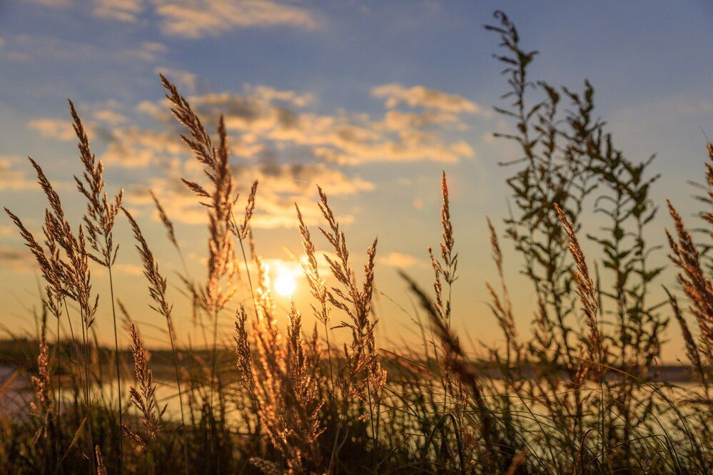 Photograph by Горяев Виктор
