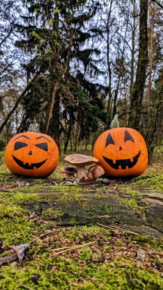 Photograph by Ольга и Андрей Трухан