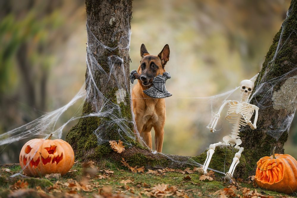 Photograph by Андрианова Ирина