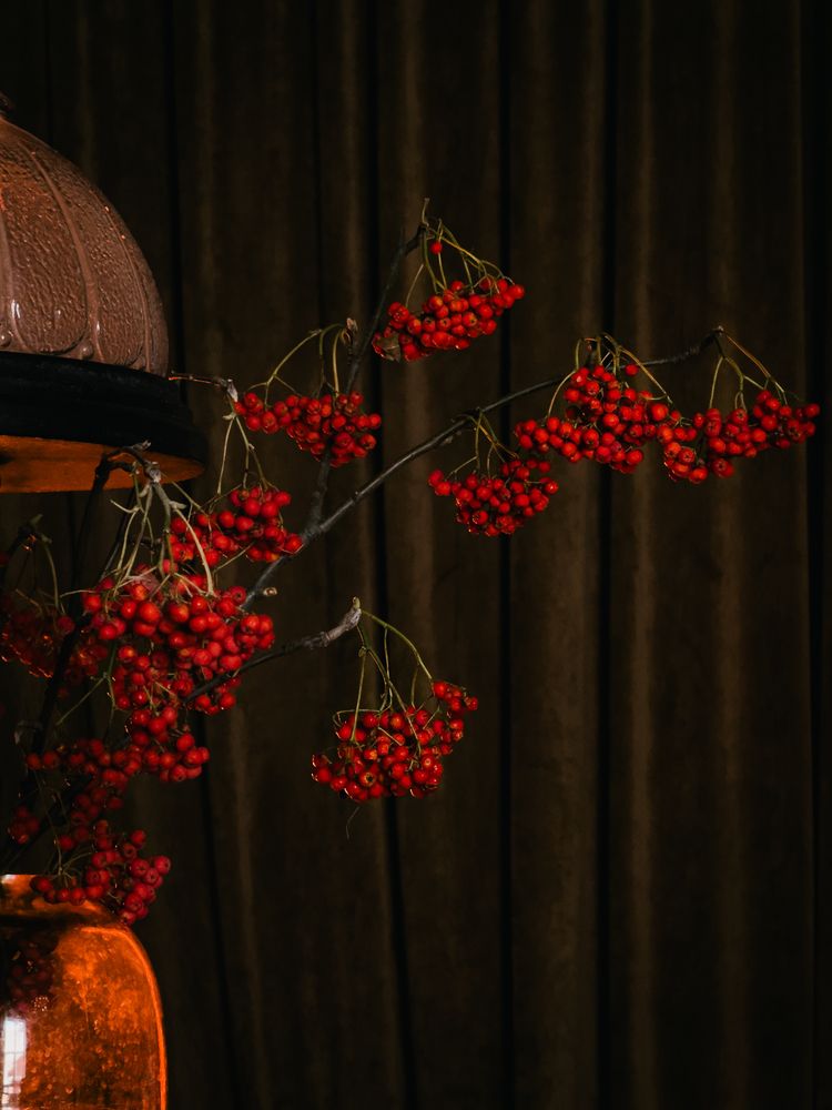 Photograph by Elizabeth Barkovskaya