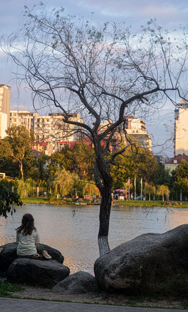 Photograph by владимир хухунаишвили