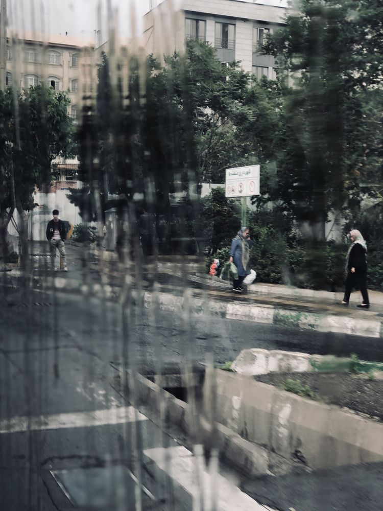 Фотография автора Kimia sadat partovi