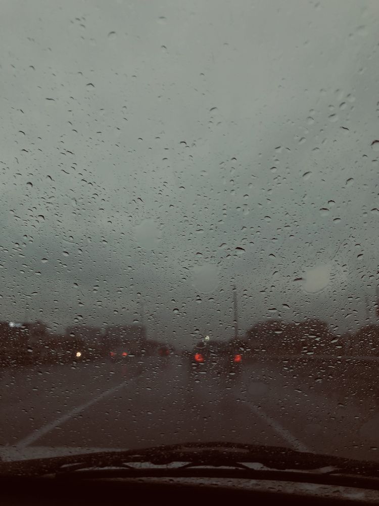 Фотография автора Kimia sadat partovi