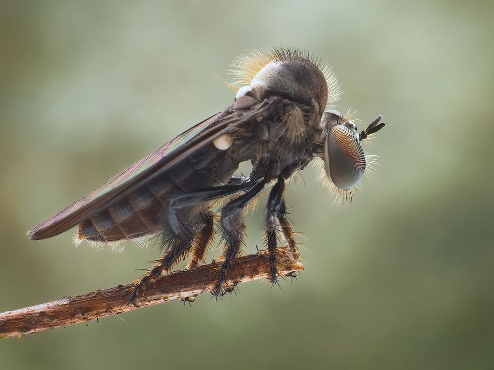 Photograph by Li Chen-You