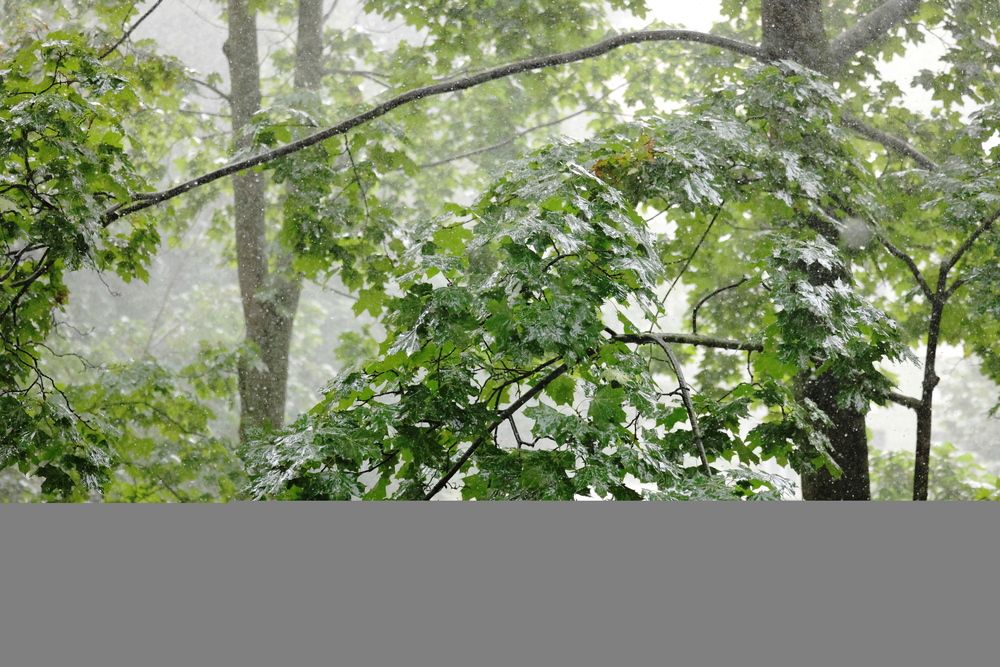 Фотография автора Natalia Kuzmina