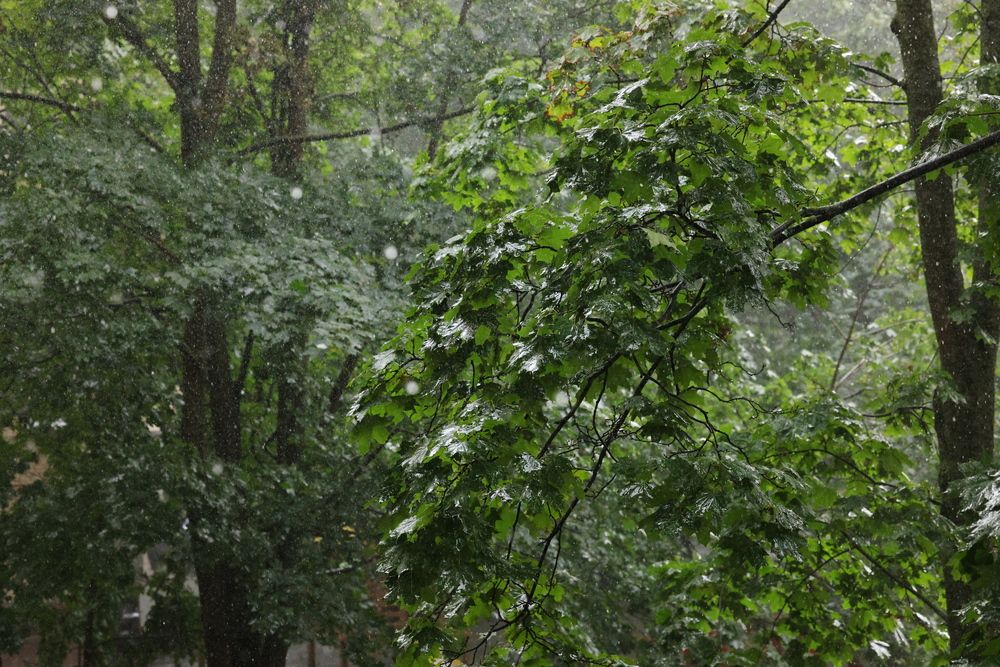 Фотография автора Natalia Kuzmina