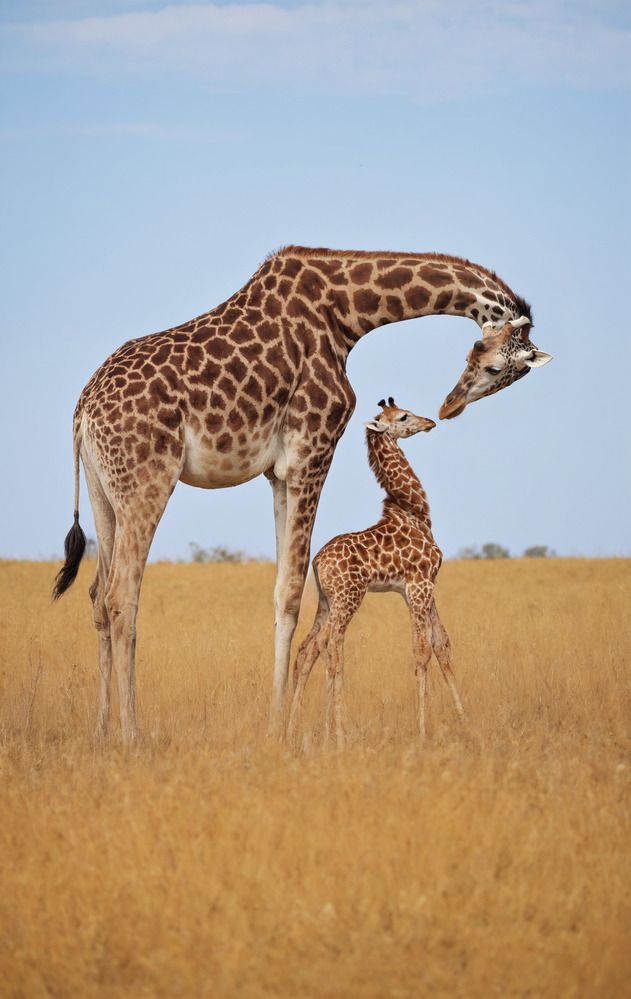 Photograph by Максимов Алексей