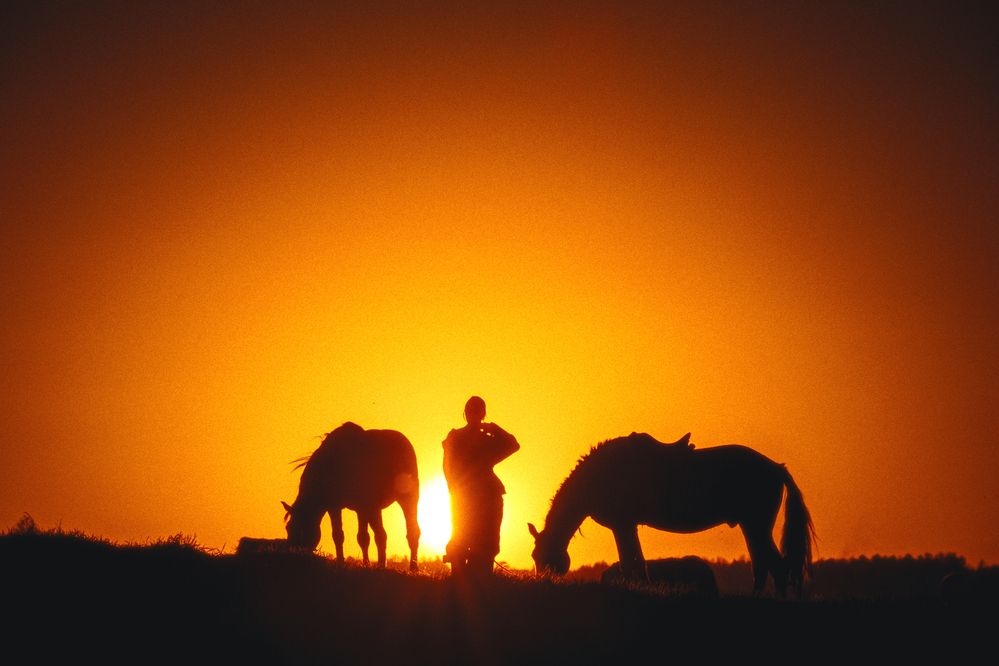 Photograph by Виктор Гагарин