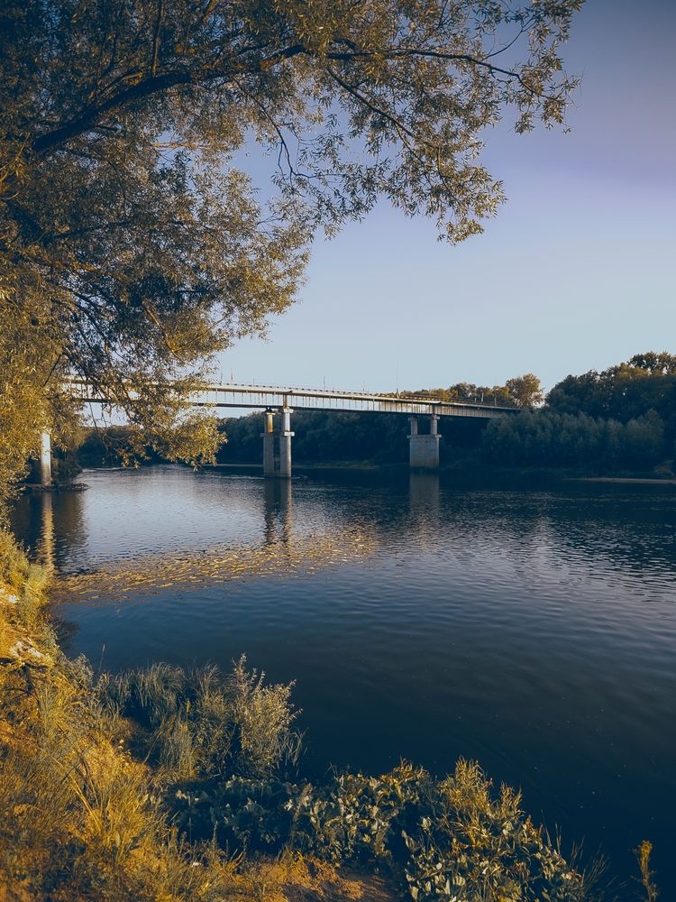 Фотография автора Елена Чиликина