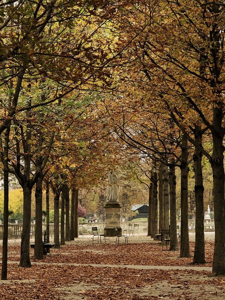 Photograph by Александра Шилова