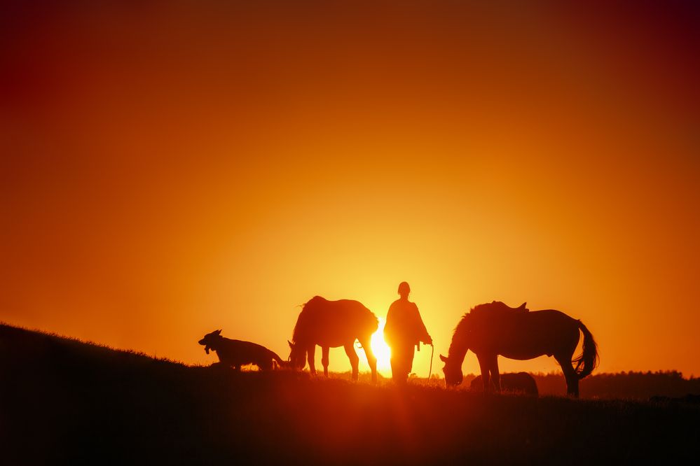 Photograph by Виктор Гагарин