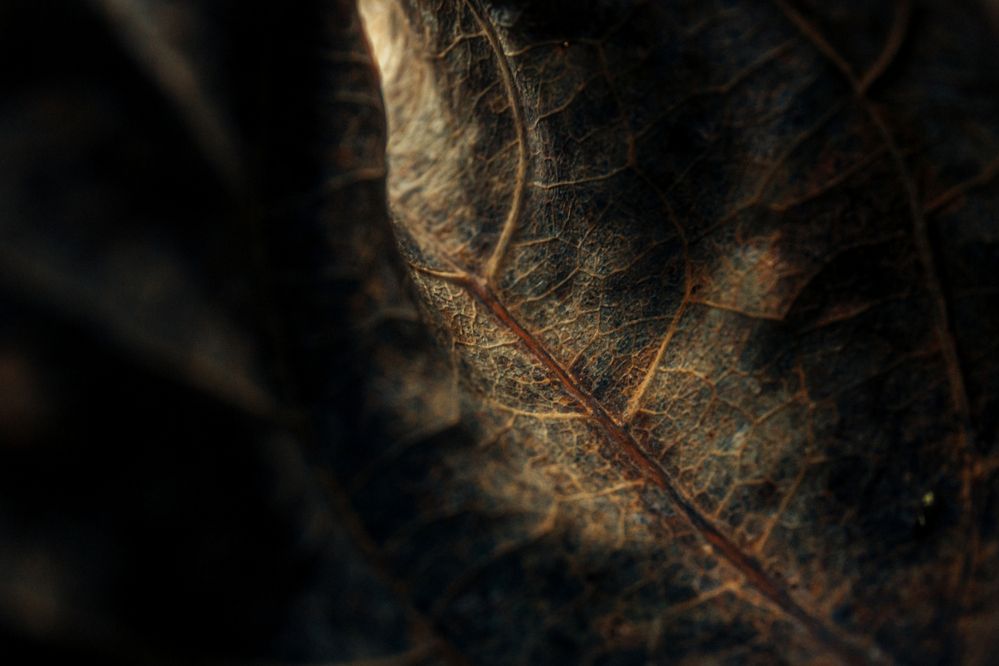 Photograph by Виктор Гагарин