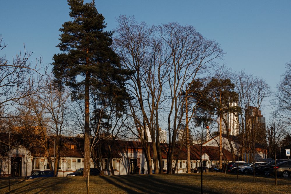 Фотография автора Ирина Гриценко