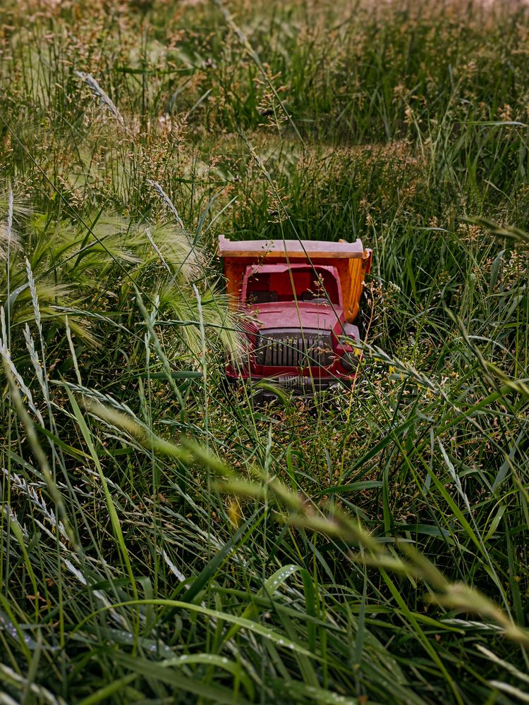 Фотография автора Татьяна Шахова