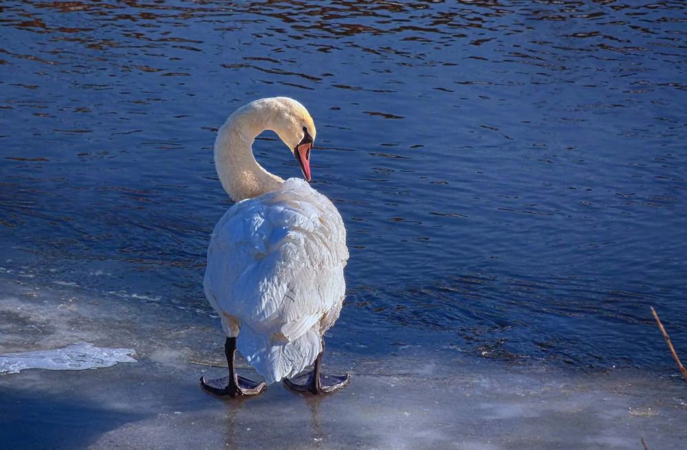 Photograph by Лидия Киприч