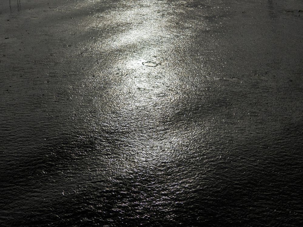 Photograph by Павел Минкевич