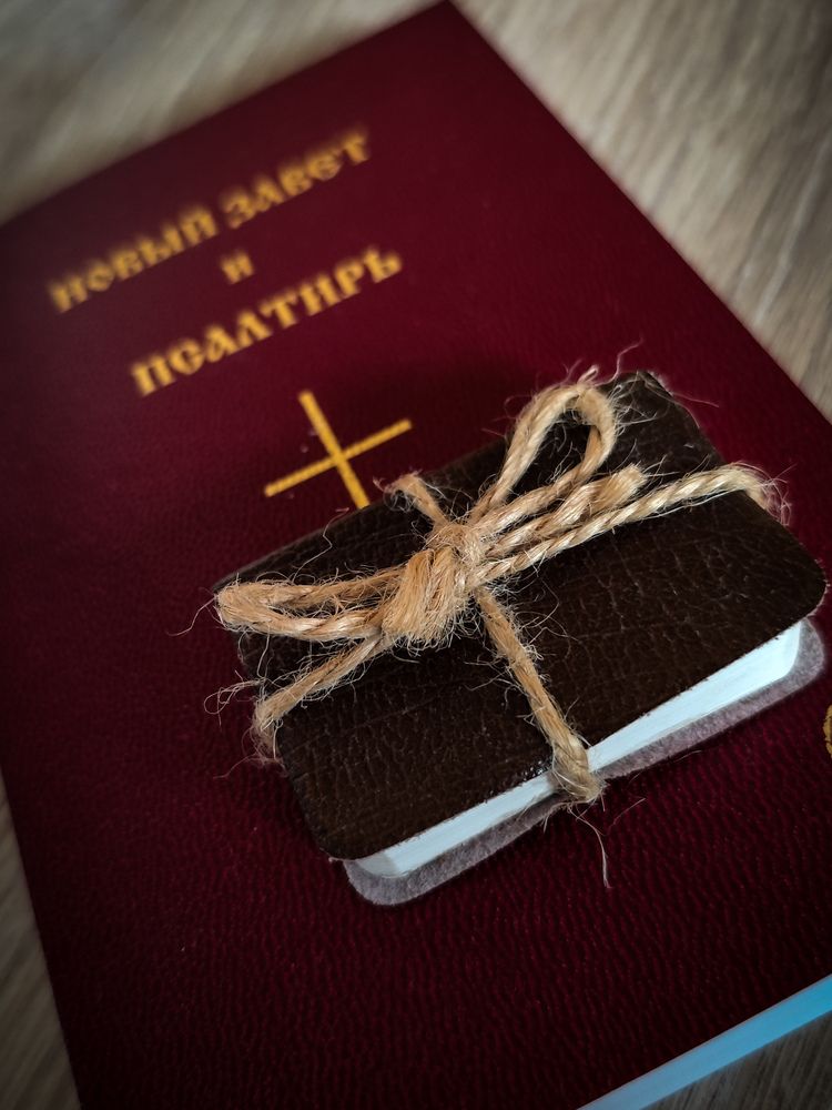 Фотография автора Татьяна Мишкина