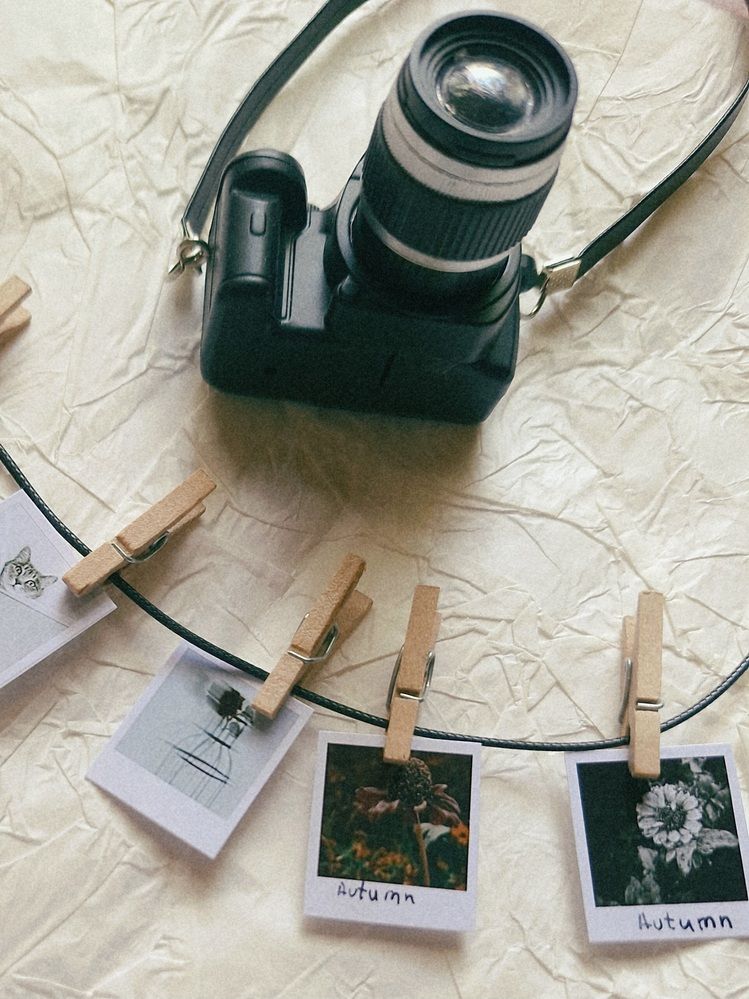 Фотография автора Elena Safarova