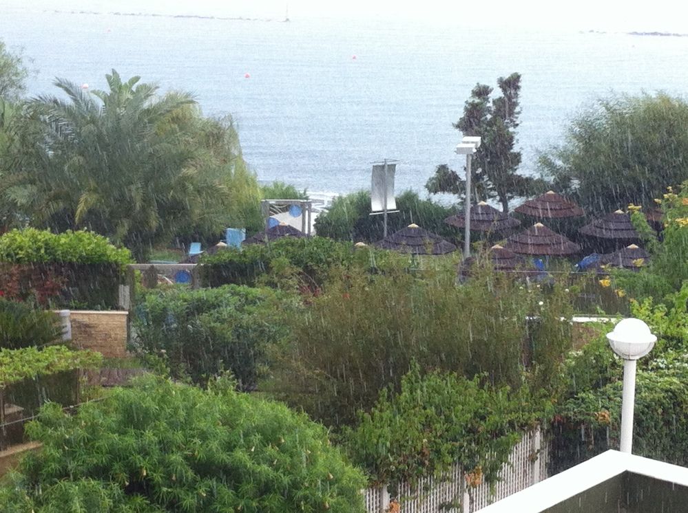 Фотография автора Елена Александрова