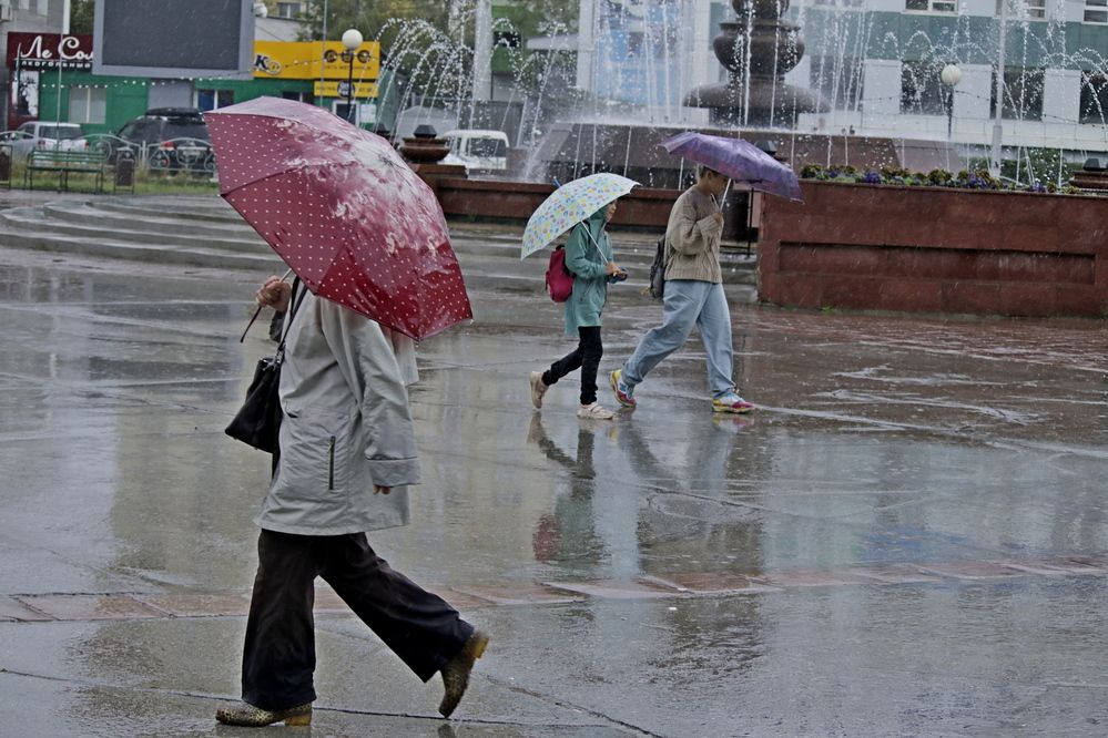 Photograph by Александр Велигура