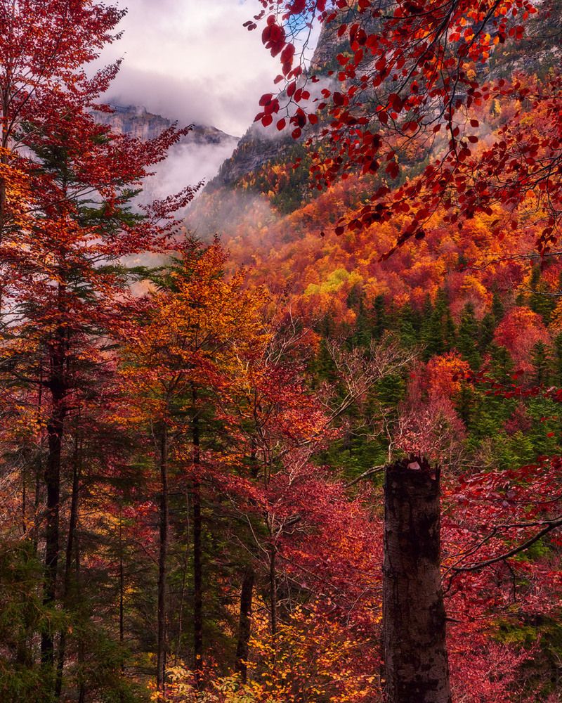 Photograph by Daniel Villalba Garcia