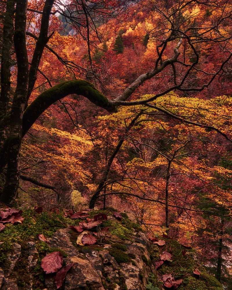 Photograph by Daniel Villalba Garcia