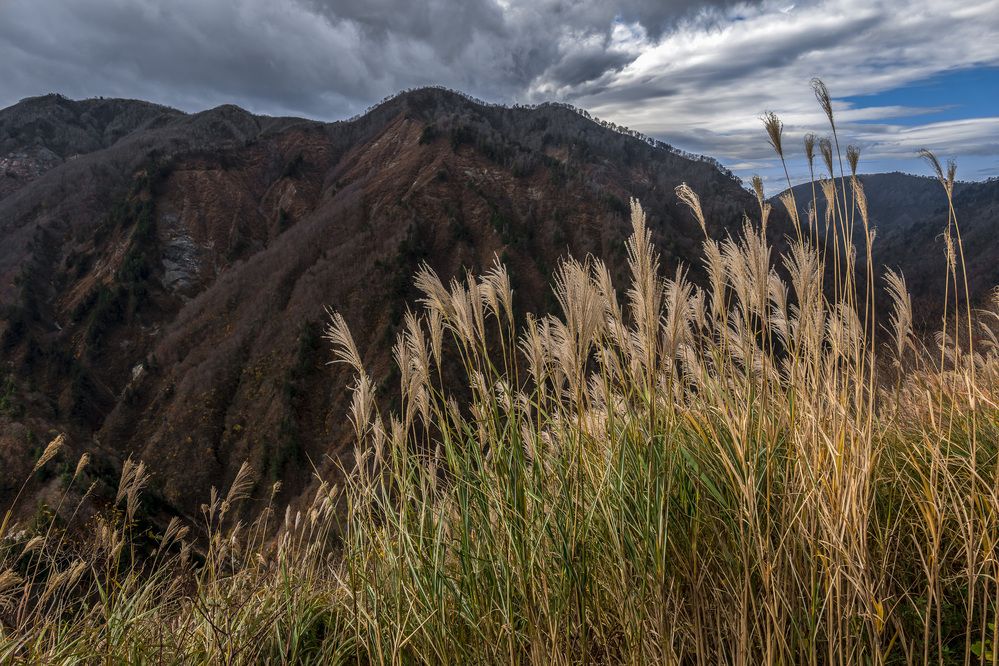 Photograph by Александр Журавлев