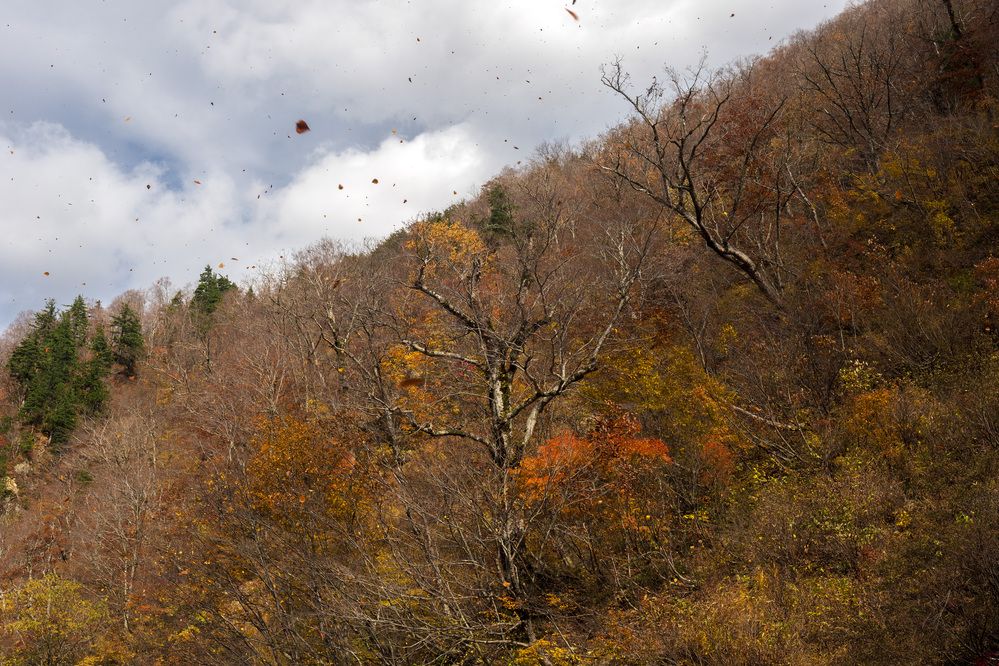 Photograph by Александр Журавлев