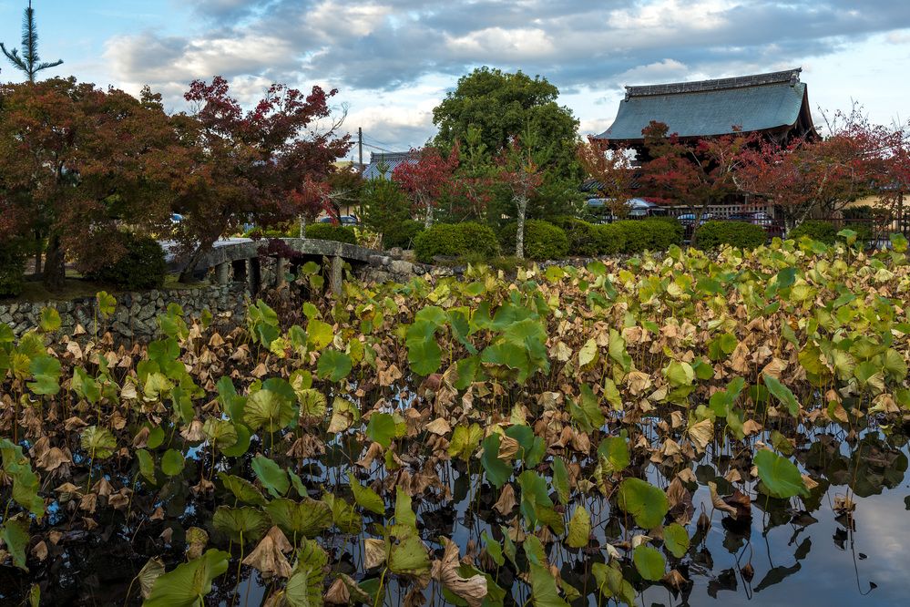 Photograph by Александр Журавлев