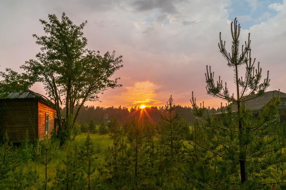 Фотография автора Mika Mgla