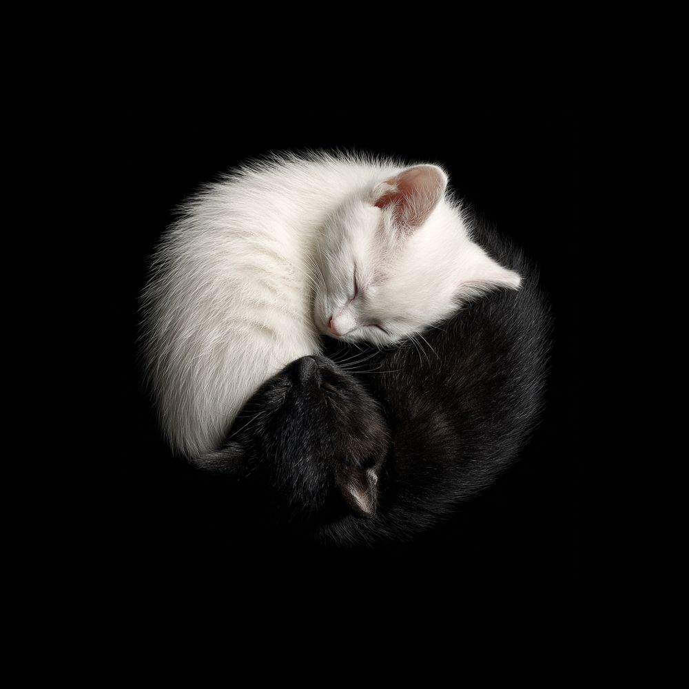 Фотография автора Dmitry Grunin