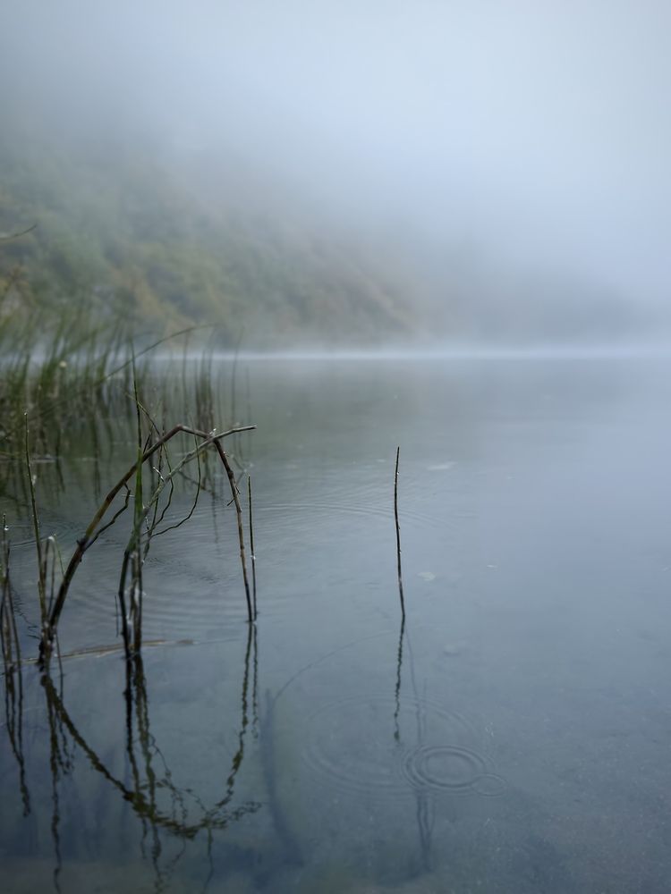 Photograph by Кристина Коробова