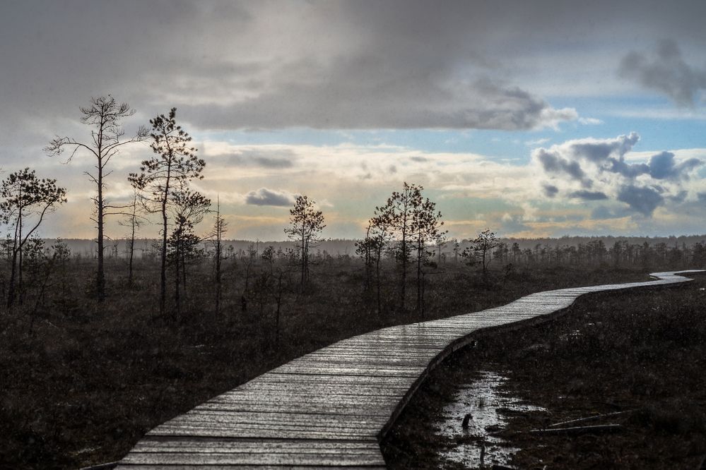 Фотография автора Mika Mgla